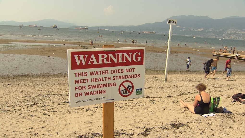 High levels of E. coli prompt swim warning