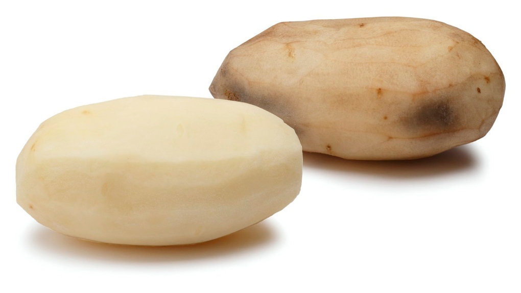 Gene edited potato
