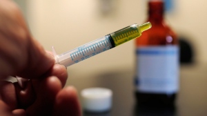 In this Monday, Nov. 6, 2017, photo, a syringe loaded with a dose of CBD oil is shown in a research laboratory at Colorado State University in Fort Collins, Colo. (AP Photo/David Zalubowski)
