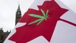 A Canadian flag with a cannabis leaf flies on Parliament Hill during the 4/20 protest, Monday, April 20, 2015 in Ottawa. THE CANADIAN PRESS/Adrian Wyld