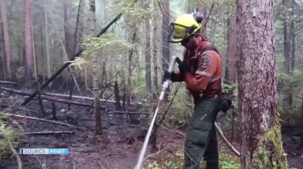 MNRF fire fighter working with hose in the bush