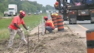 Cables on Highway 401