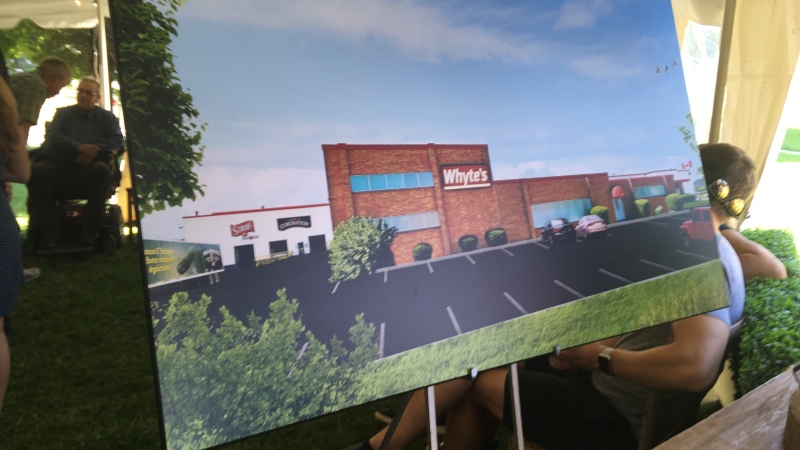 A concept of what the new Whyte's facility will look like. (Stefanie Masotti / CTV Windsor)