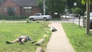 Two people lay on the ground outside the apartment at 350 Church Street in Windsor, Ont. (Courtesy Lo Ruby / Facebook)