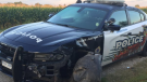 Amherstburg Police officer was struck by a vehicle on Alma St. on September 3, 2018 (Photo courtesy of Amherstburg Police via Twitter)
