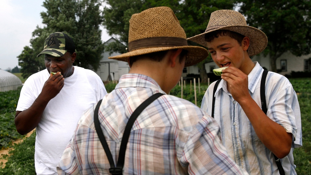 african american amish