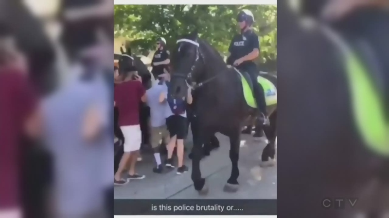 A video was taken of a woman who was run over by a horse at a homecoming party.