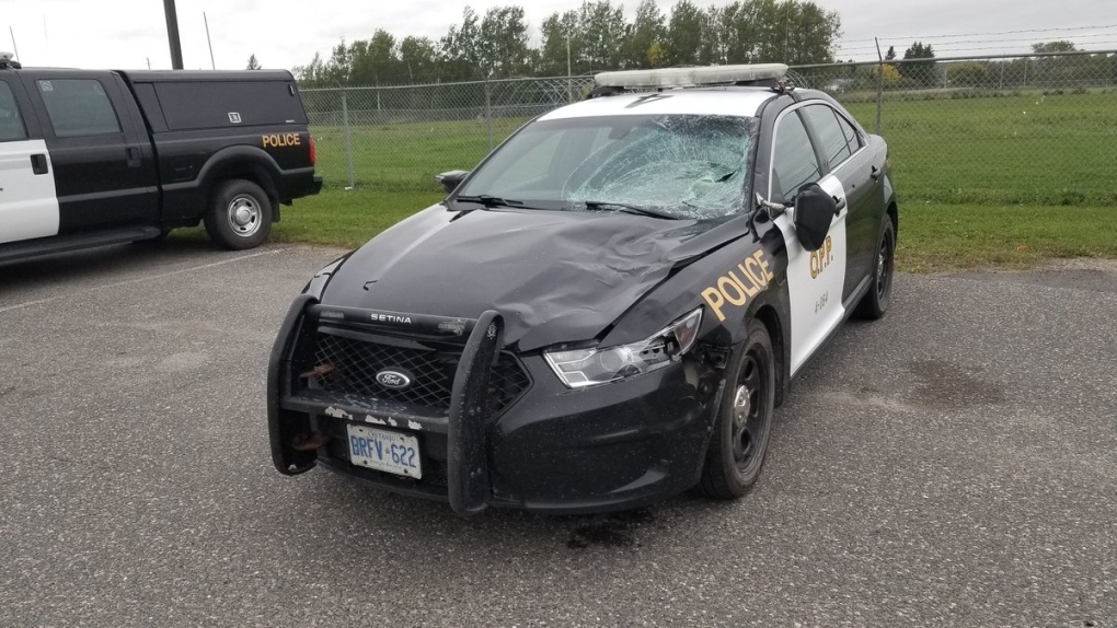 OPP officer hits moose and survives