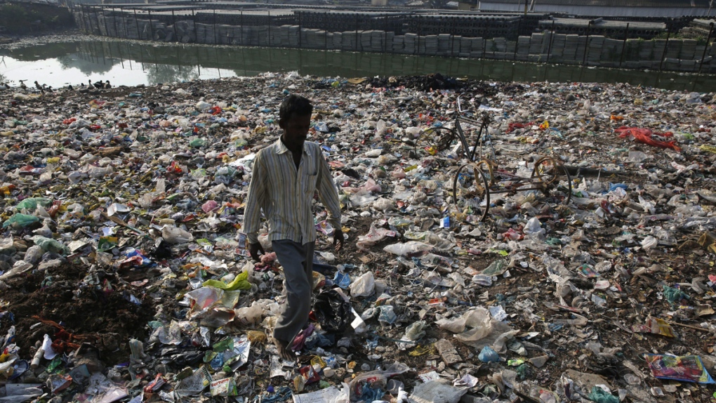 Polluted pond in Allahabad, India