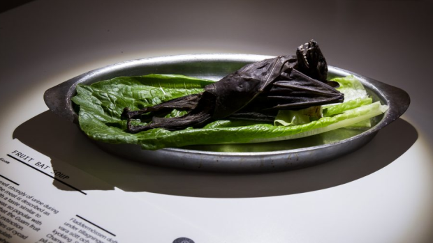 RÃ©sultat de recherche d'images pour "Disgusting food museumÂ»"