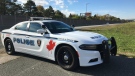 A Windsor Police Service cruiser is seen in this image from October 2018. (Source: Windsor police)