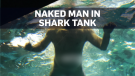 Naked man jumps into shark tank in Toronto
