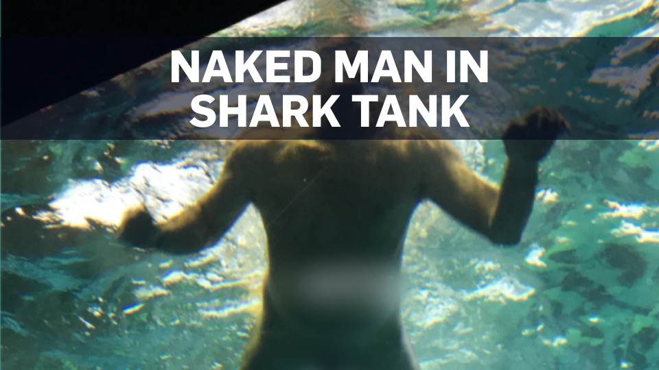 Video: Man Swims Naked With Sharks in Toronto Aquarium