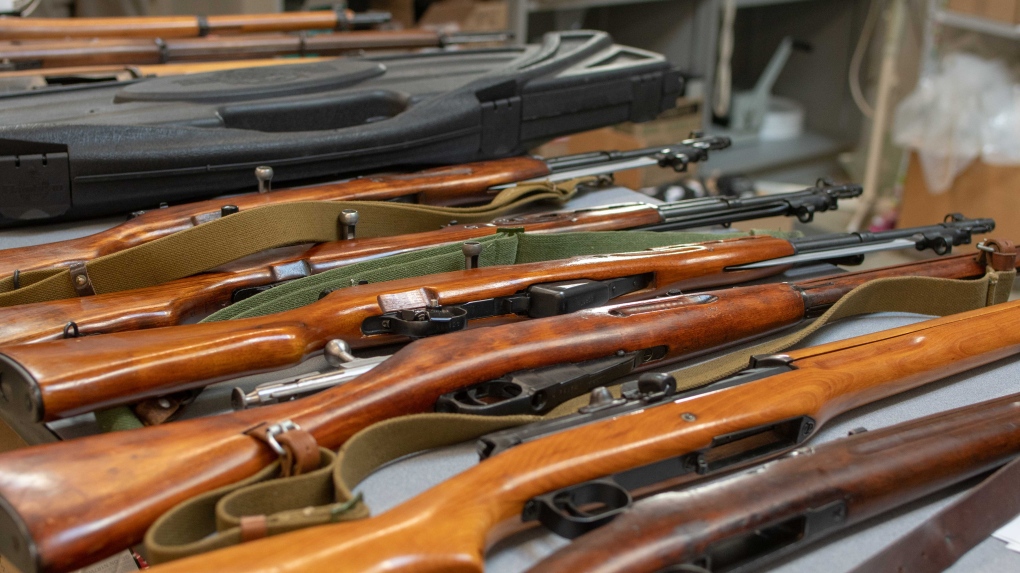 A collection of rifles seized from a home