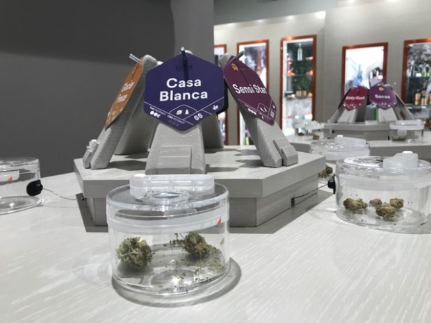 Cards show details on the different strains of marijuana available at Fire and Flower Cannabis in north Edmonton.