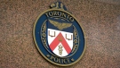 The logo for Toronto Police Service is seen in this undated file image. 