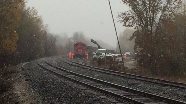 Locomotive derails, spills thousands of gallons of diesel fuel | CTV News