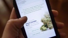The Ontario Cannabis Store website is pictured on a mobile phone Ottawa on Thursday, Oct. 18, 2018. THE CANADIAN PRESS/Sean Kilpatrick