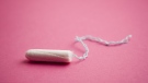 A tampon is seen in an undated file photo. (istock.com/gbrundin)

