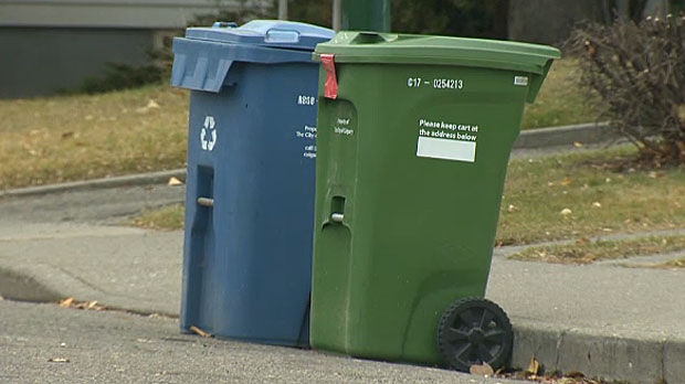 A City of Calgary green cart next to a recycling cart. (CTV News)