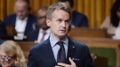 Minister of Veterans Affairs Seamus O'Regan rises during question period in the House of Commons on Parliament Hill in Ottawa on Thursday, Sept. 27, 2018. THE CANADIAN PRESS/Adrian Wyld