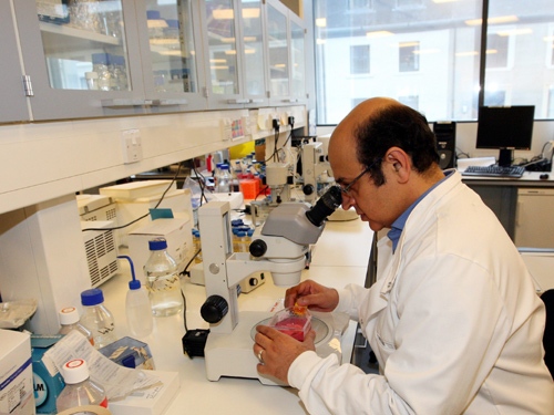 Professor Karim Nayernia, is seen at Newcastle University and the NorthEast England Stem Cell Institute (Nesci), in Newcastle, England, Wednesday, July 8, 2009. (AP / Scott Heppell)