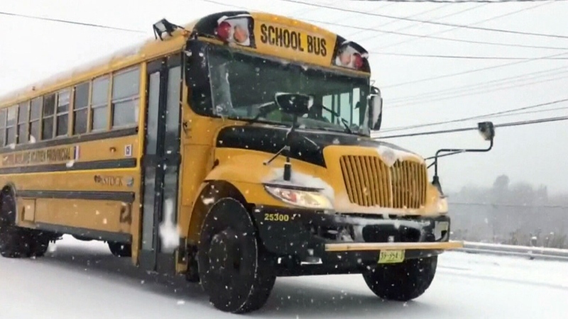 Snow creates school bus chaos in Halifax