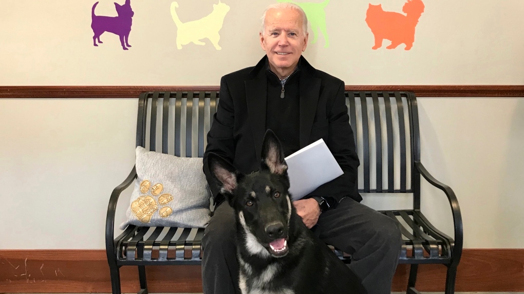 Biden adopted dog