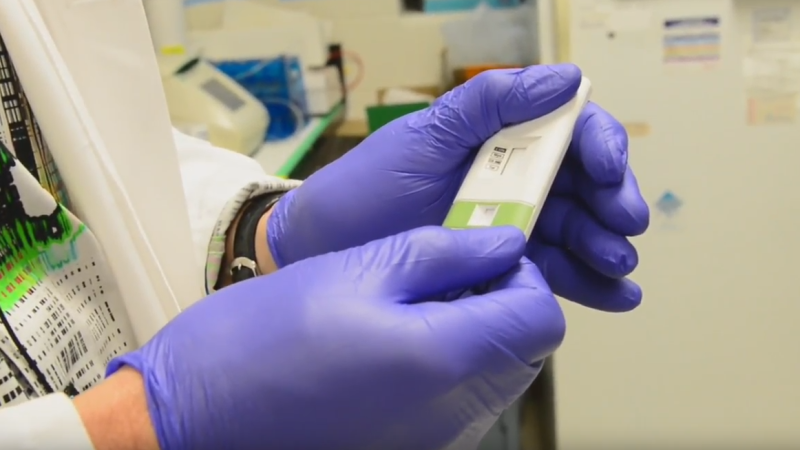 E.coli Testing Kit. (Western University / YouTube) 