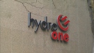 Hydro One says electricity rates for some seasonal cottagers could jump by nearly $1,000 a year.