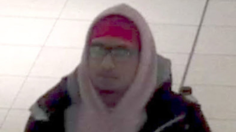 Fairview Mall suspect