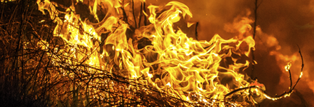 Fire image (CTV News)