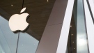 The Apple logo is displayed at the Apple store in the Brooklyn borough of New York, Thursday, Jan. 3, 2019. (AP Photo/Mary Altaffer)