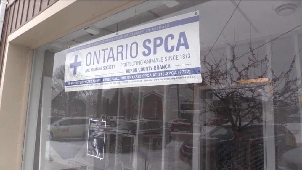 OSPCA turns down Ontario's request to stay on until new animal laws in  force | CTV News