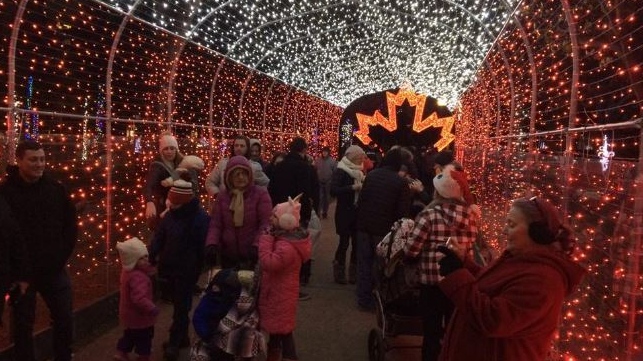 Residents move through Bright Lights Windsor