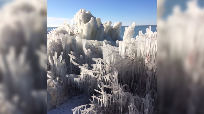Ice coats everything along the shore of Lake Huron in Huron County, Ont. on Monday, Jan. 14, 2019. (Scott Miller / CTV London)