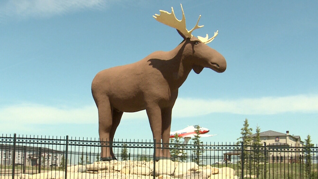 How can this town make Mac the Moose taller?