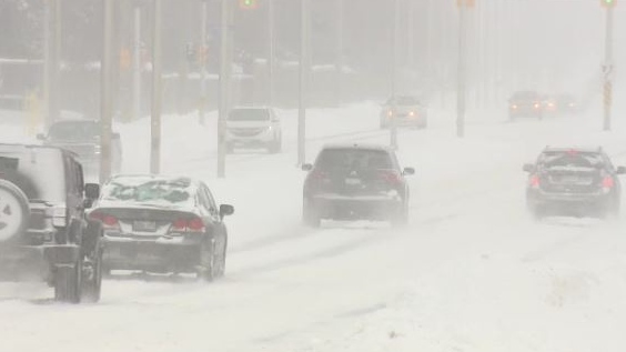 Ottawa received a record 21.8 cm of snow on Sunday, January 20