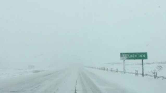 Highway 402 is seen during a winter storm northwest of London, Ont. on Jan. 4, 2018. (Marek Sutherland / CTV London)