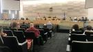 Windsor City Council votes to "opt-in" to retail cannabis sales on Jan. 21, 2019. (Rich Garton / CTV Windsor)