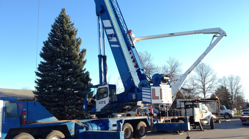 File image of a Litz Crane & Rigging crane being used to move a tree in 2015.
