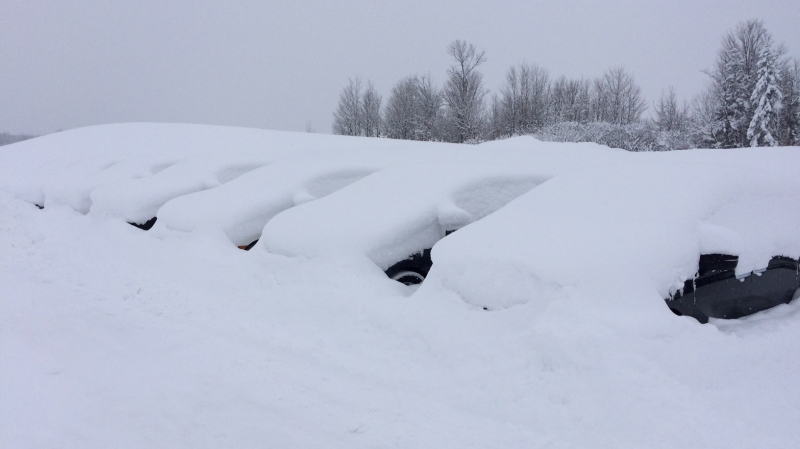 A car dealership is blanketed after two days of steady snowfall in Midland, Ont. on Fri., Feb.1, 2019 (CTV News/Rob Cooper)