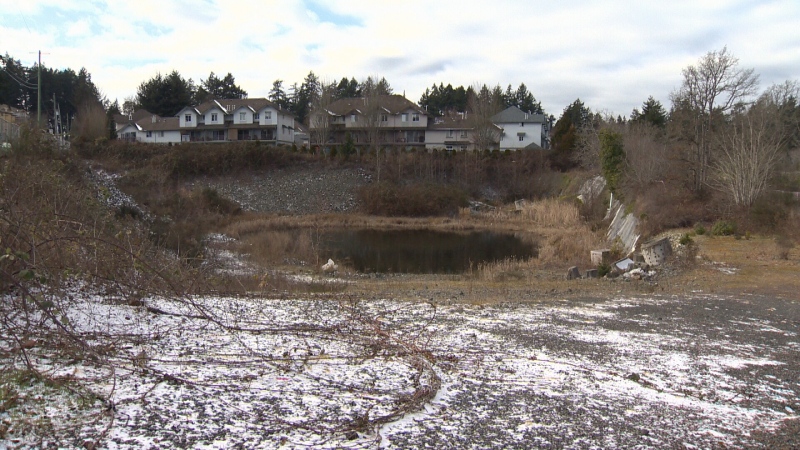 The province announced it will partner with Aboriginal Land Trust Society, Huu-ay-aht First Nations and the City of Colwood to build 120 affordable rentals at 342 Wale Road, Monday, Feb. 4, 2019. (CTV Vancouver Island)