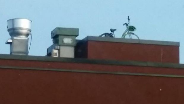 Bike On roof