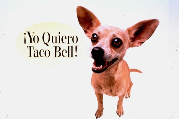 This undated picture shows part of a Taco Bell advertisement featuring a Chihuahua professing his love for tacos. Handlers say Gidget the Chihuahua, whose Taco Bell commercials made her a star, has died. She was 15. (AP / Taco Bell)
