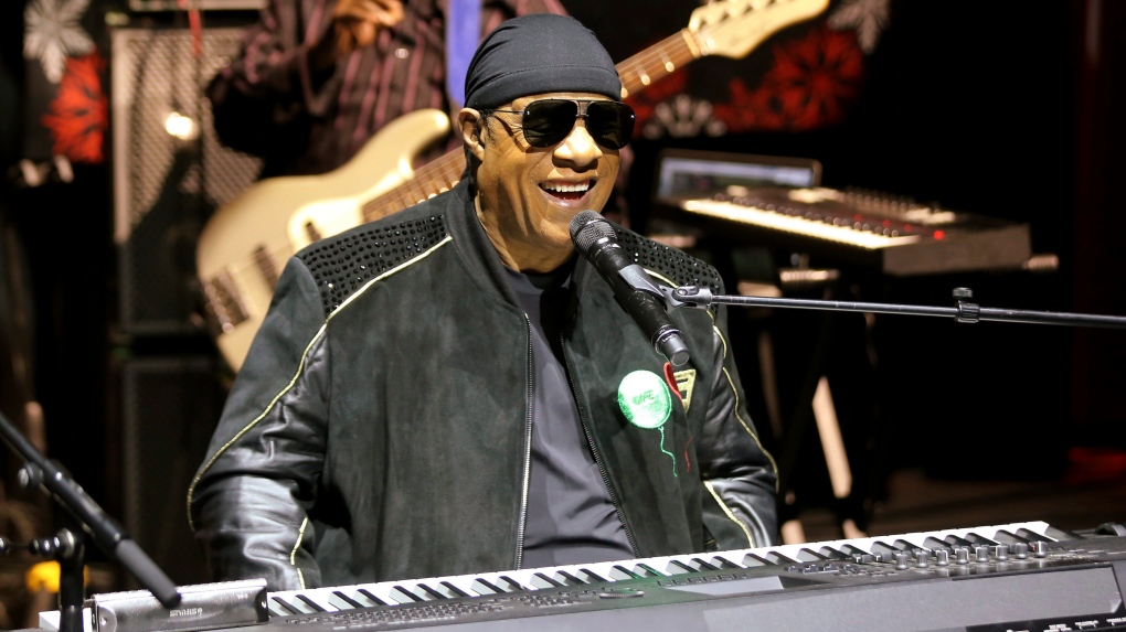 Stevie Wonder's Blonde Hair: A Tribute to the Music Legend's Bold Choice - wide 4