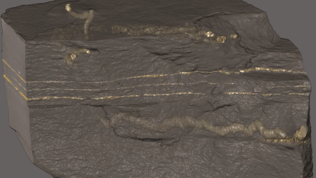 unimaginably ancient fossils