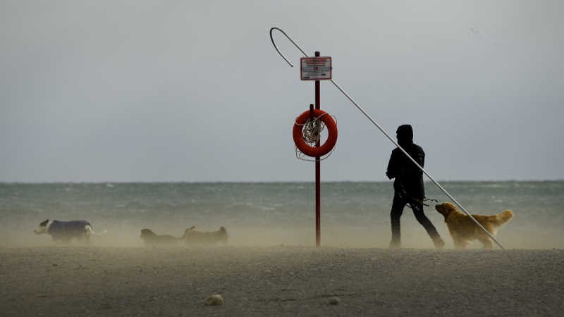 A dog walker fights the wind along with blowing sandy conditions on Woodbine Beach in Toronto on February 25, 2019. (Nathan Denette / THE CANADIAN PRESS)