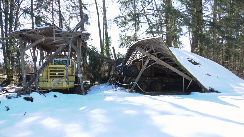 BC Forest Discovery Centre damaged