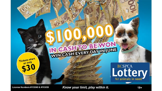 Lottery SPCA